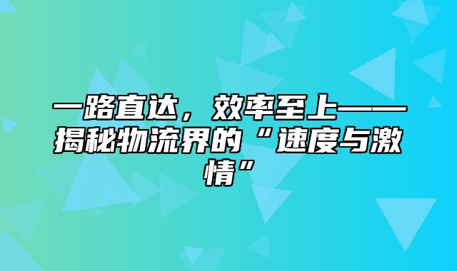 一路直达，效率至上——揭秘物流界的“速度与激情”