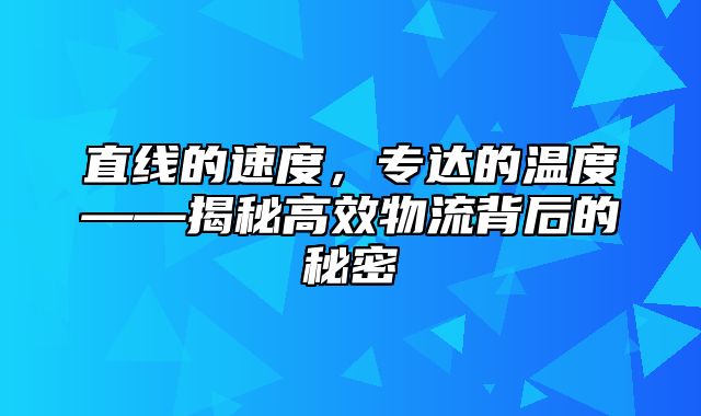 直线的速度，专达的温度——揭秘高效物流背后的秘密