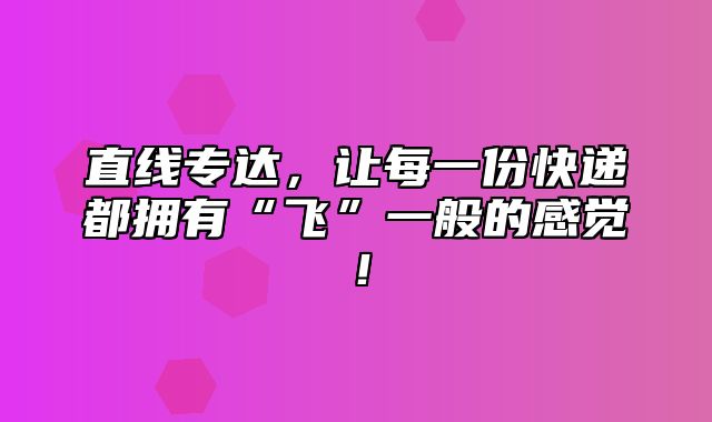 直线专达，让每一份快递都拥有“飞”一般的感觉！