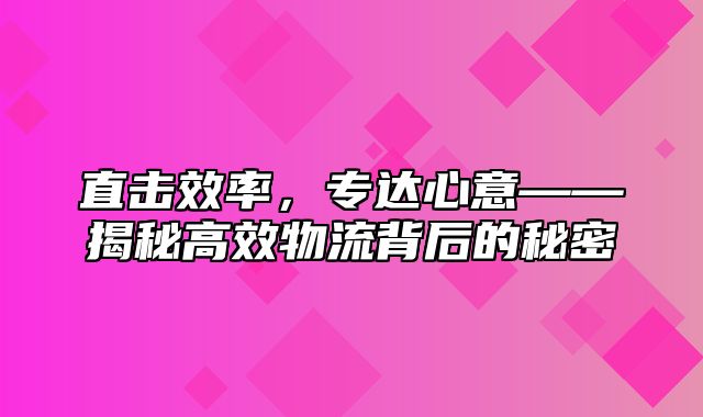 直击效率，专达心意——揭秘高效物流背后的秘密