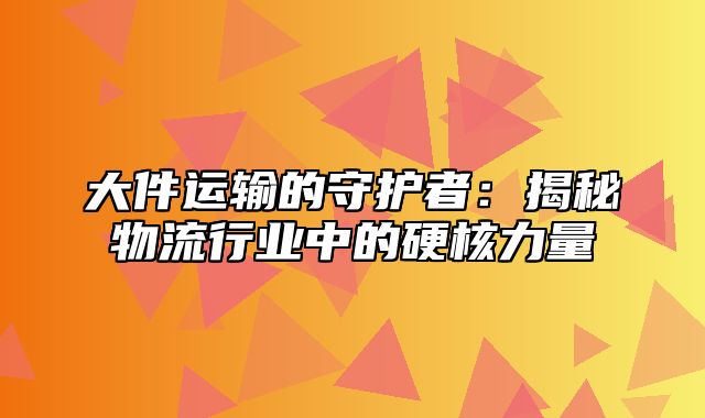 大件运输的守护者：揭秘物流行业中的硬核力量