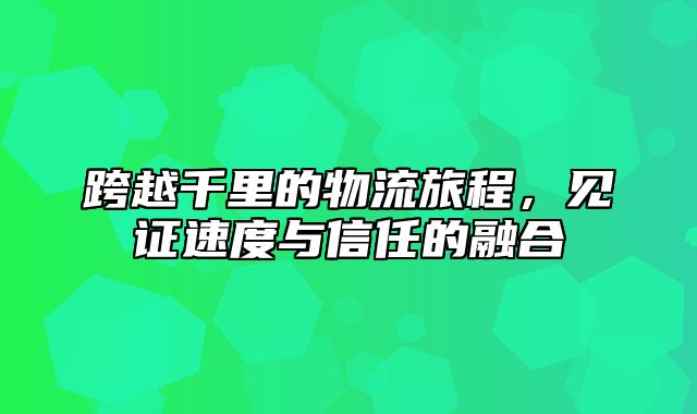 跨越千里的物流旅程，见证速度与信任的融合