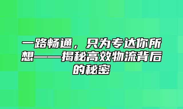 一路畅通，只为专达你所想——揭秘高效物流背后的秘密