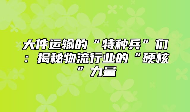 大件运输的“特种兵”们：揭秘物流行业的“硬核”力量