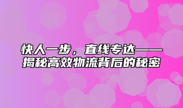 快人一步，直线专达——揭秘高效物流背后的秘密