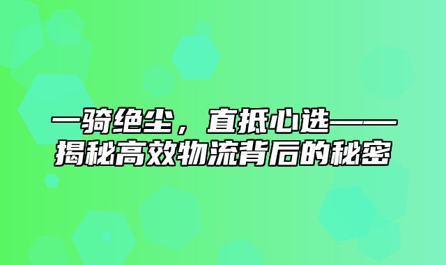 一骑绝尘，直抵心选——揭秘高效物流背后的秘密