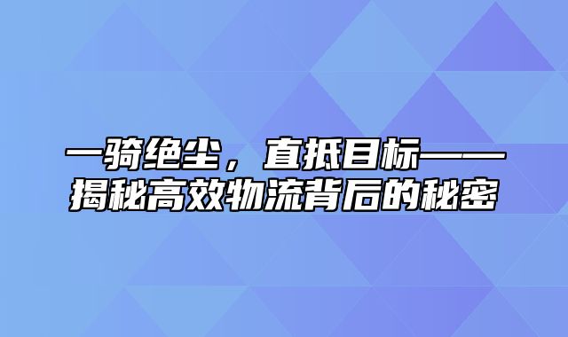 一骑绝尘，直抵目标——揭秘高效物流背后的秘密