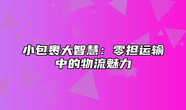 小包裹大智慧：零担运输中的物流魅力