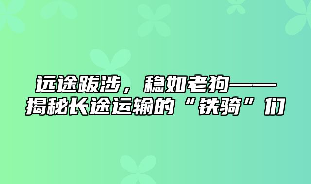 远途跋涉，稳如老狗——揭秘长途运输的“铁骑”们