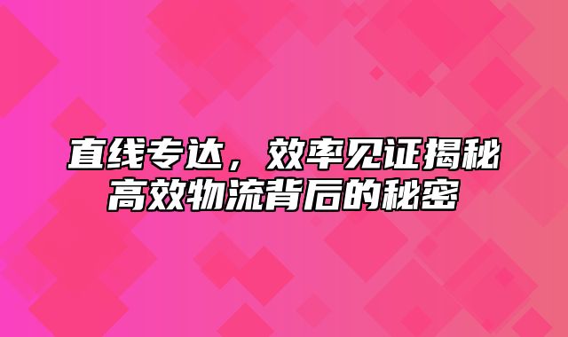 直线专达，效率见证揭秘高效物流背后的秘密