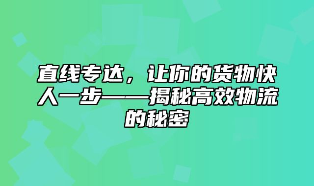 直线专达，让你的货物快人一步——揭秘高效物流的秘密