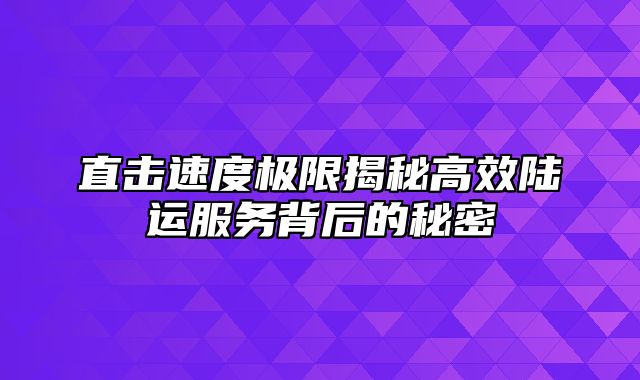 直击速度极限揭秘高效陆运服务背后的秘密