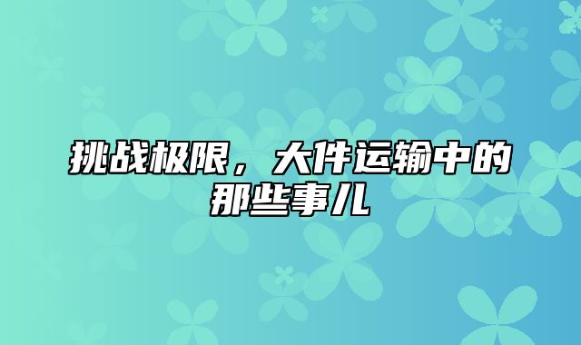 挑战极限，大件运输中的那些事儿