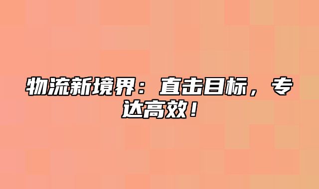 物流新境界：直击目标，专达高效！