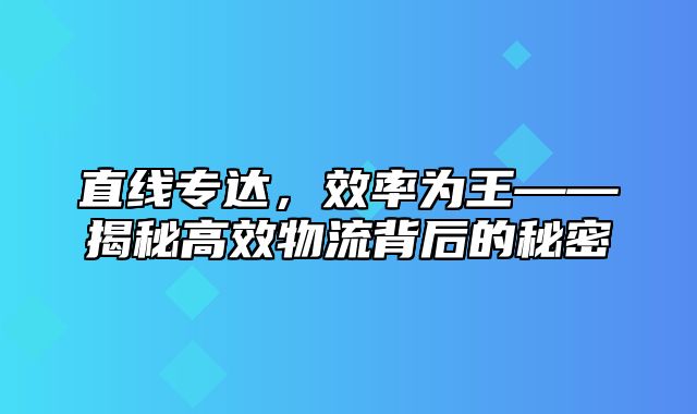 直线专达，效率为王——揭秘高效物流背后的秘密