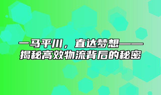 一马平川，直达梦想——揭秘高效物流背后的秘密