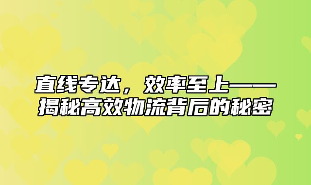 直线专达，效率至上——揭秘高效物流背后的秘密