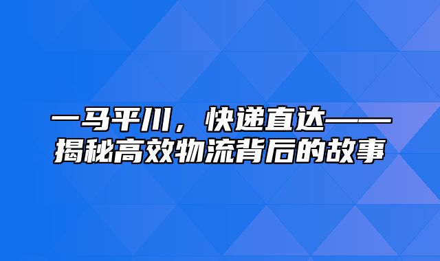 一马平川，快递直达——揭秘高效物流背后的故事