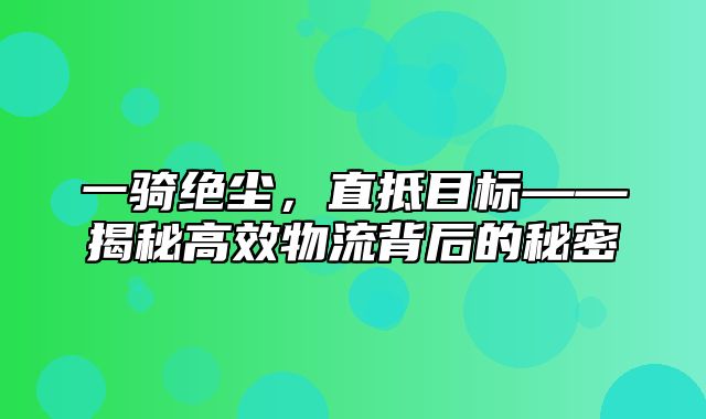 一骑绝尘，直抵目标——揭秘高效物流背后的秘密