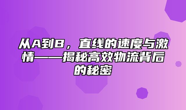 从A到B，直线的速度与激情——揭秘高效物流背后的秘密