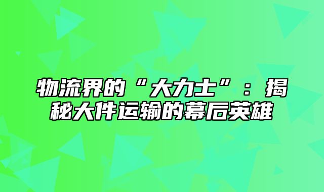 物流界的“大力士”：揭秘大件运输的幕后英雄