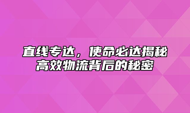 直线专达，使命必达揭秘高效物流背后的秘密