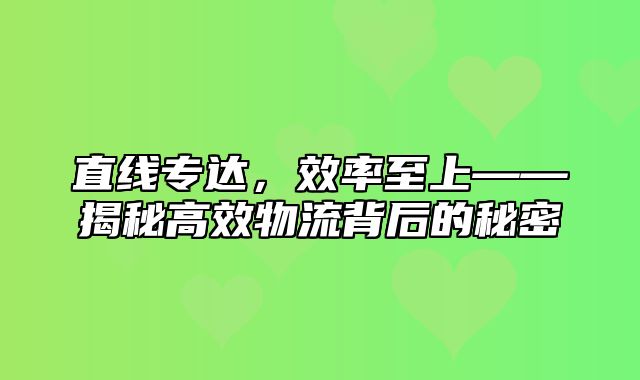 直线专达，效率至上——揭秘高效物流背后的秘密