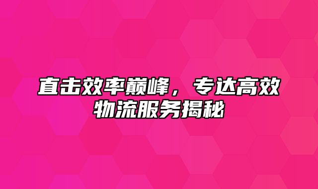 直击效率巅峰，专达高效物流服务揭秘