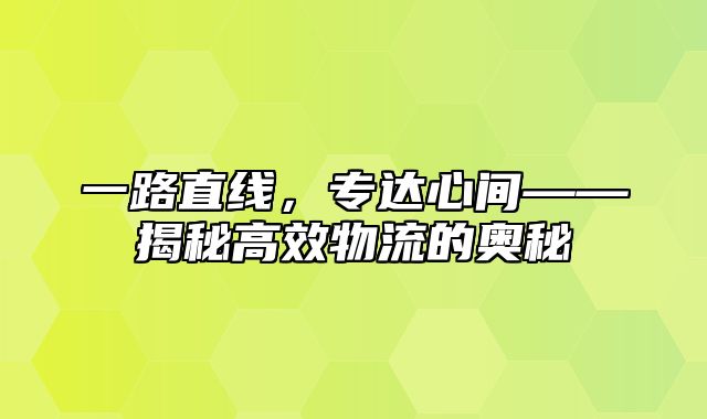 一路直线，专达心间——揭秘高效物流的奥秘