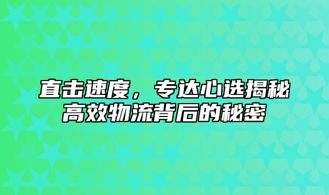 直击速度，专达心选揭秘高效物流背后的秘密