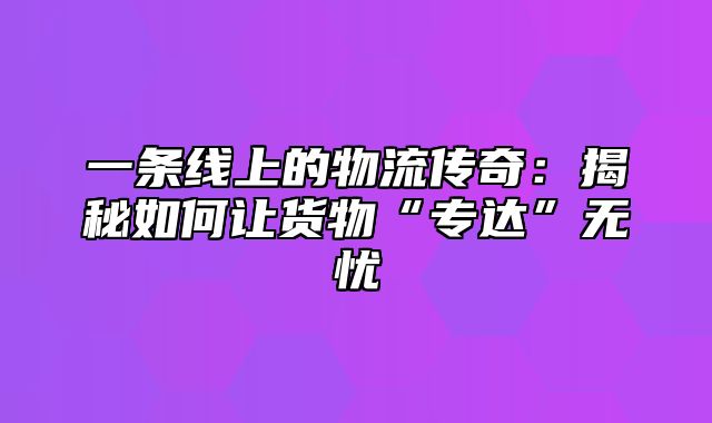 一条线上的物流传奇：揭秘如何让货物“专达”无忧