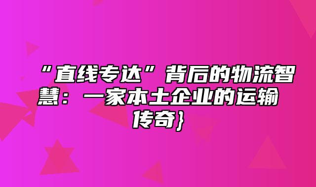 “直线专达”背后的物流智慧：一家本土企业的运输传奇}