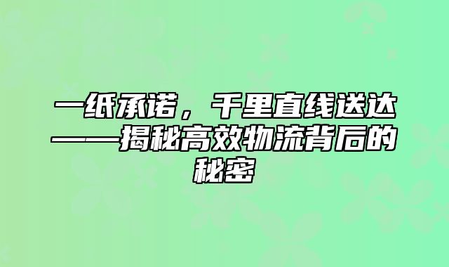 一纸承诺，千里直线送达——揭秘高效物流背后的秘密