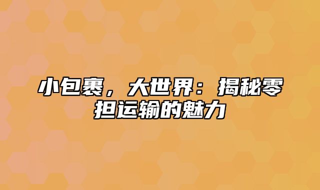 小包裹，大世界：揭秘零担运输的魅力