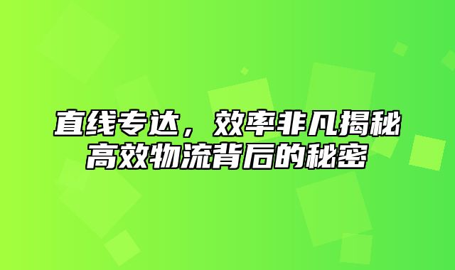 直线专达，效率非凡揭秘高效物流背后的秘密