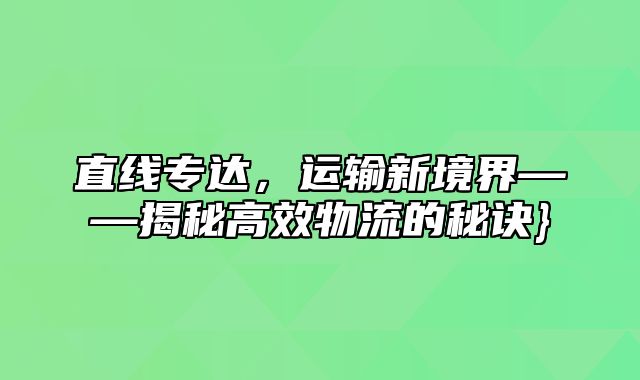 直线专达，运输新境界——揭秘高效物流的秘诀}