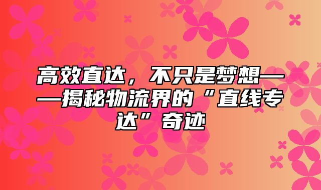 高效直达，不只是梦想——揭秘物流界的“直线专达”奇迹