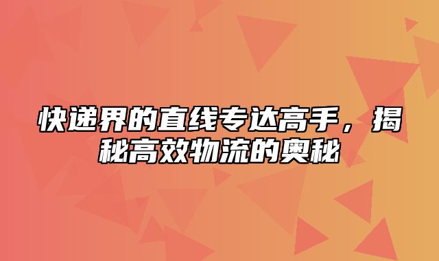 快递界的直线专达高手，揭秘高效物流的奥秘