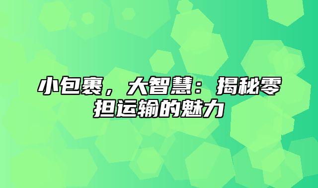 小包裹，大智慧：揭秘零担运输的魅力