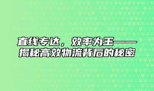 直线专达，效率为王——揭秘高效物流背后的秘密