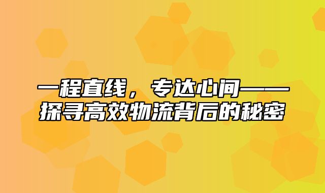 一程直线，专达心间——探寻高效物流背后的秘密