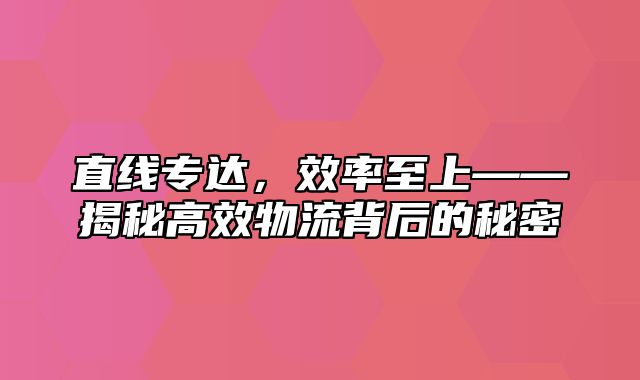 直线专达，效率至上——揭秘高效物流背后的秘密