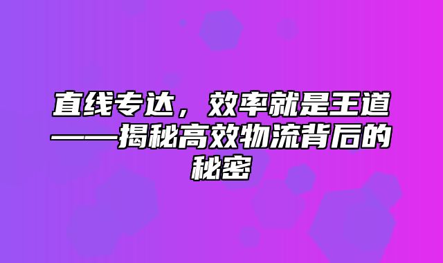 直线专达，效率就是王道——揭秘高效物流背后的秘密