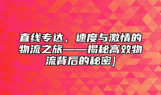 直线专达，速度与激情的物流之旅——揭秘高效物流背后的秘密}