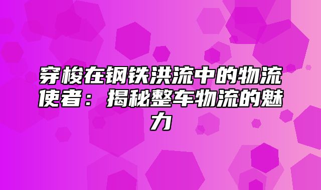 穿梭在钢铁洪流中的物流使者：揭秘整车物流的魅力