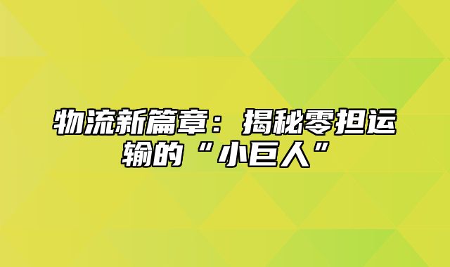 物流新篇章：揭秘零担运输的“小巨人”