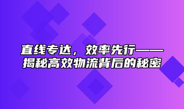 直线专达，效率先行——揭秘高效物流背后的秘密