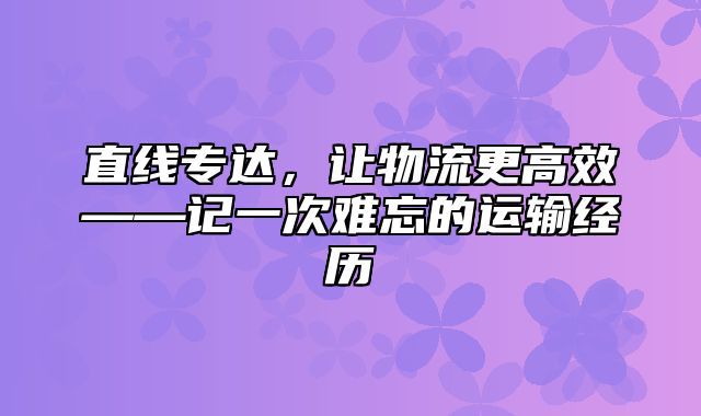 直线专达，让物流更高效——记一次难忘的运输经历