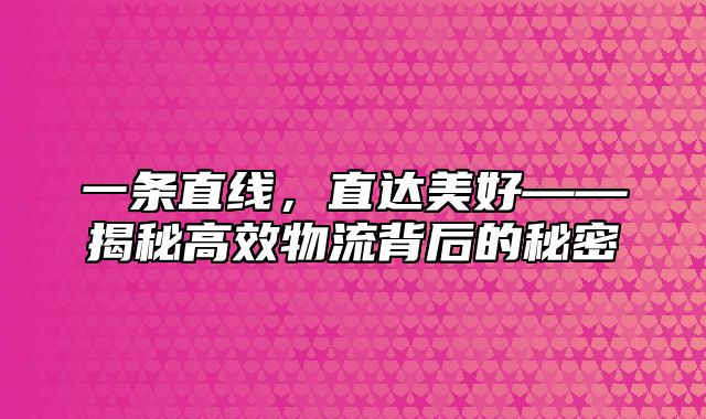 一条直线，直达美好——揭秘高效物流背后的秘密