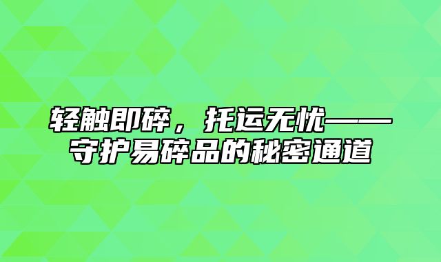 轻触即碎，托运无忧——守护易碎品的秘密通道